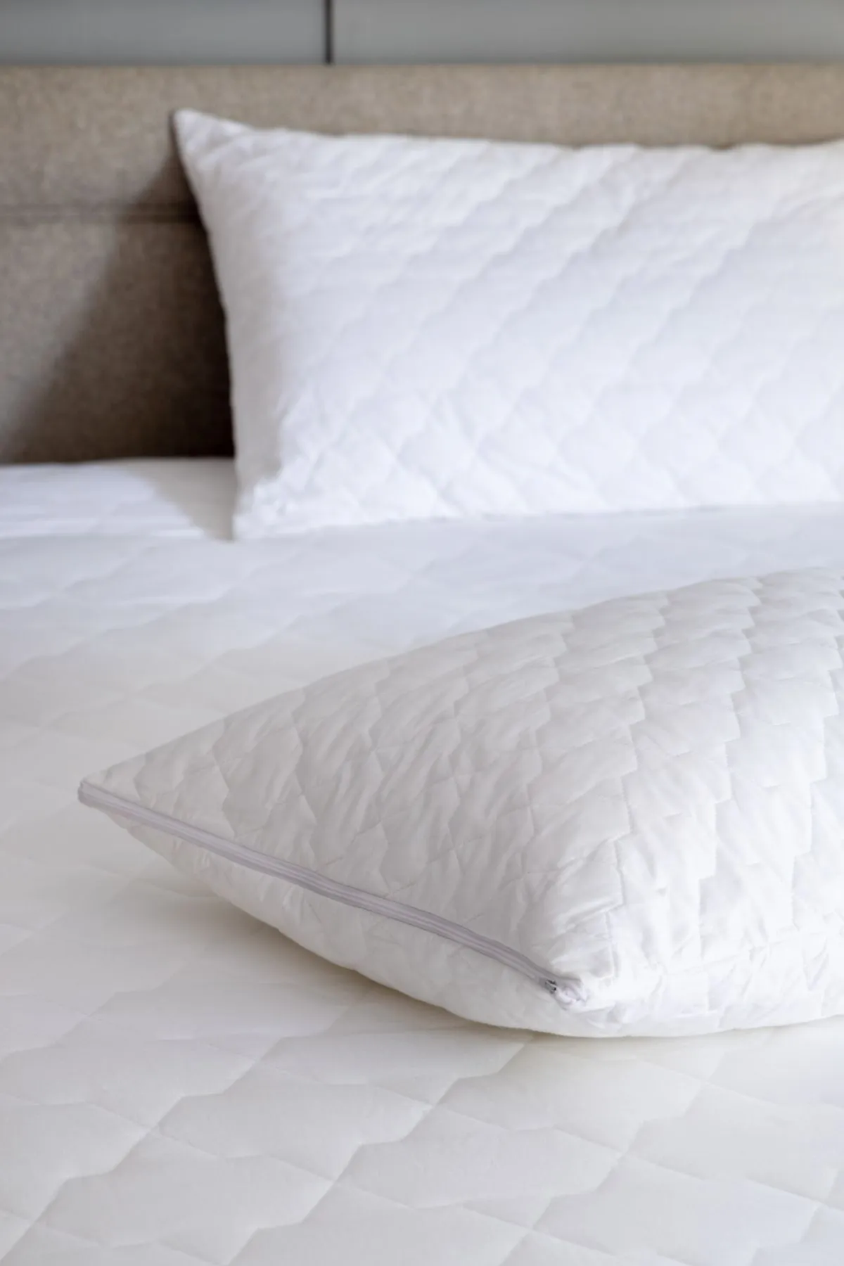 Soak&Sleep Quilted Cotton Pillow Protector Pair in White 3