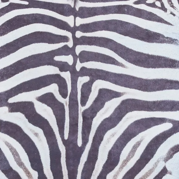 Faux Zebra Print Rug 6