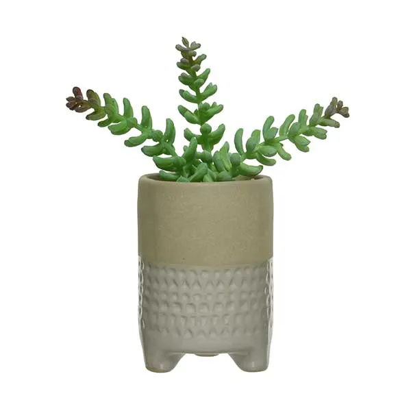 Medium White Pot Plant