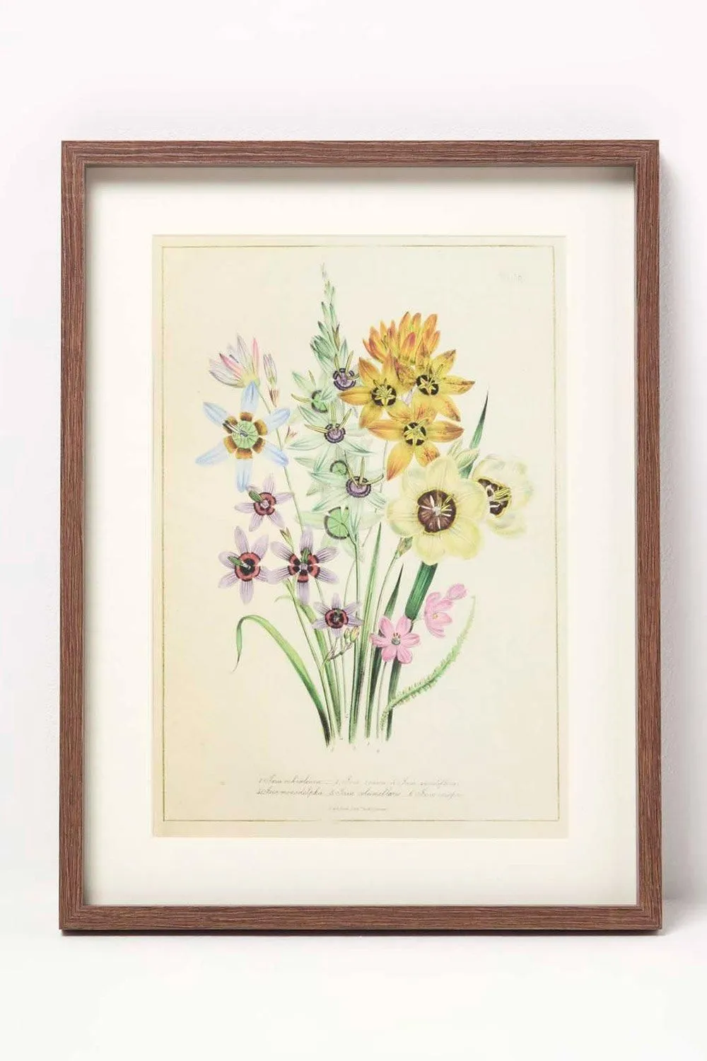 Homescapes Wall Decoration Set of 3 Frames with Picture, Wildflowers 3