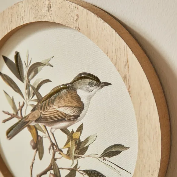 Set of 3 Birds In The Trees Circular Framed Prints 2