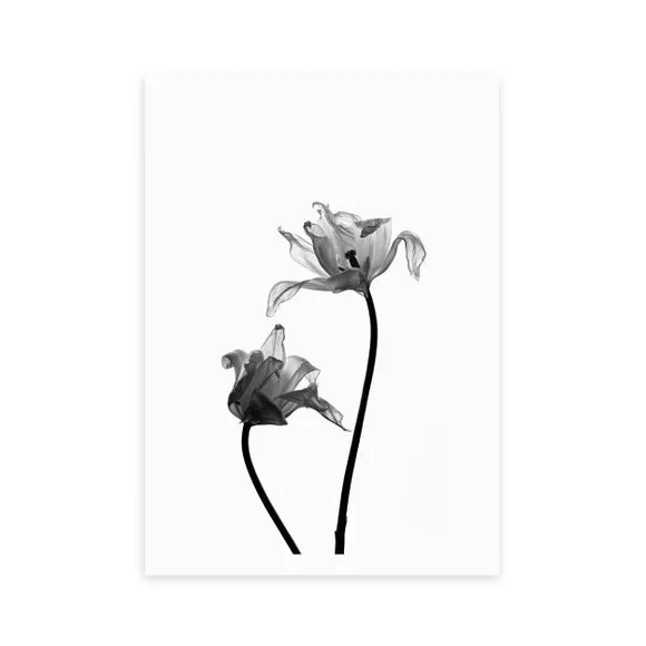 East End Prints Iris Print 2