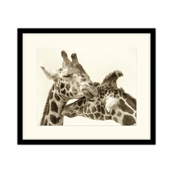 Artko In Love Giraffes Framed Print 3