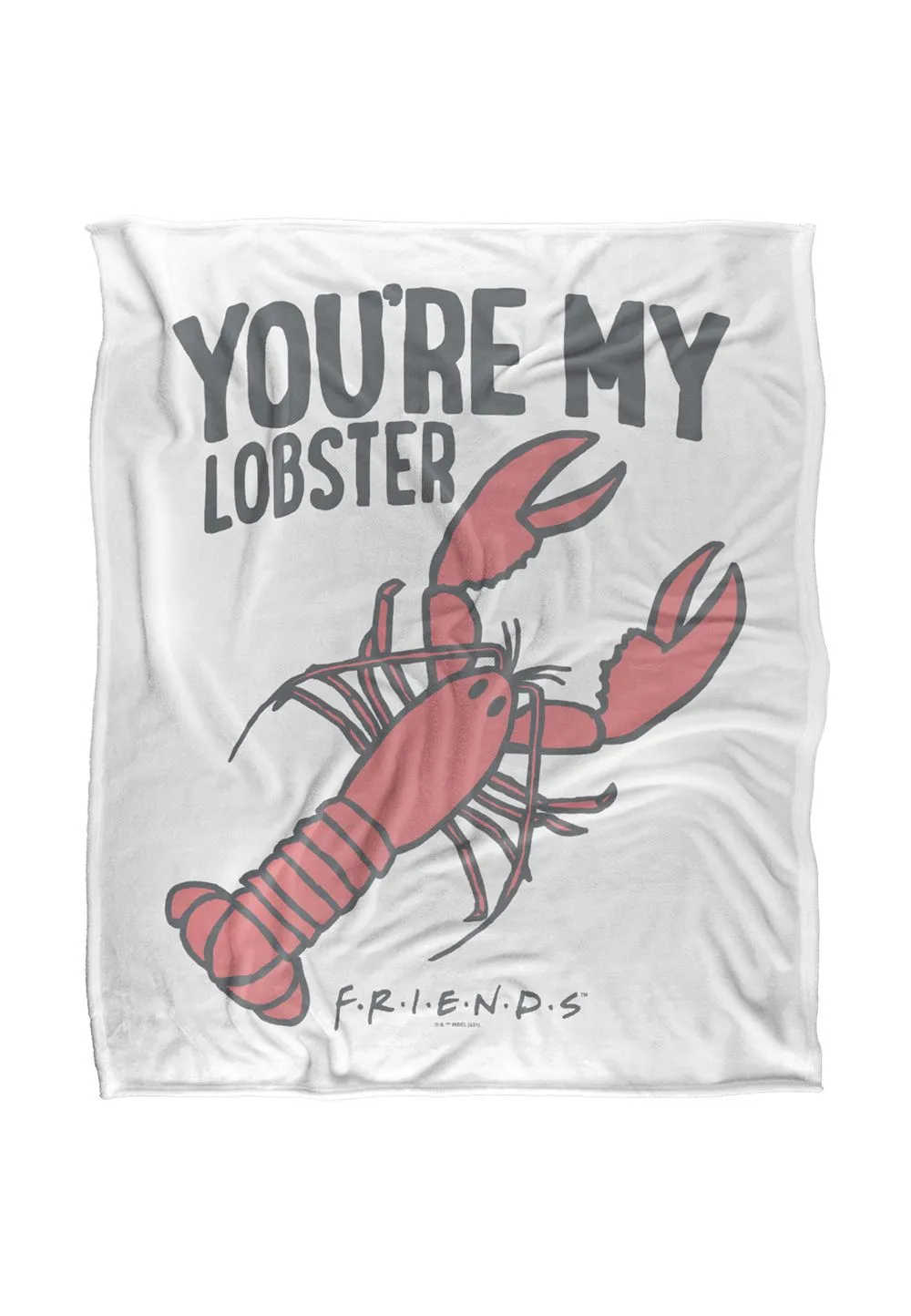 Warner Brothers Friends 152x127cm Rachel & Ross Silky Touch Super Soft Throw Blanket in White