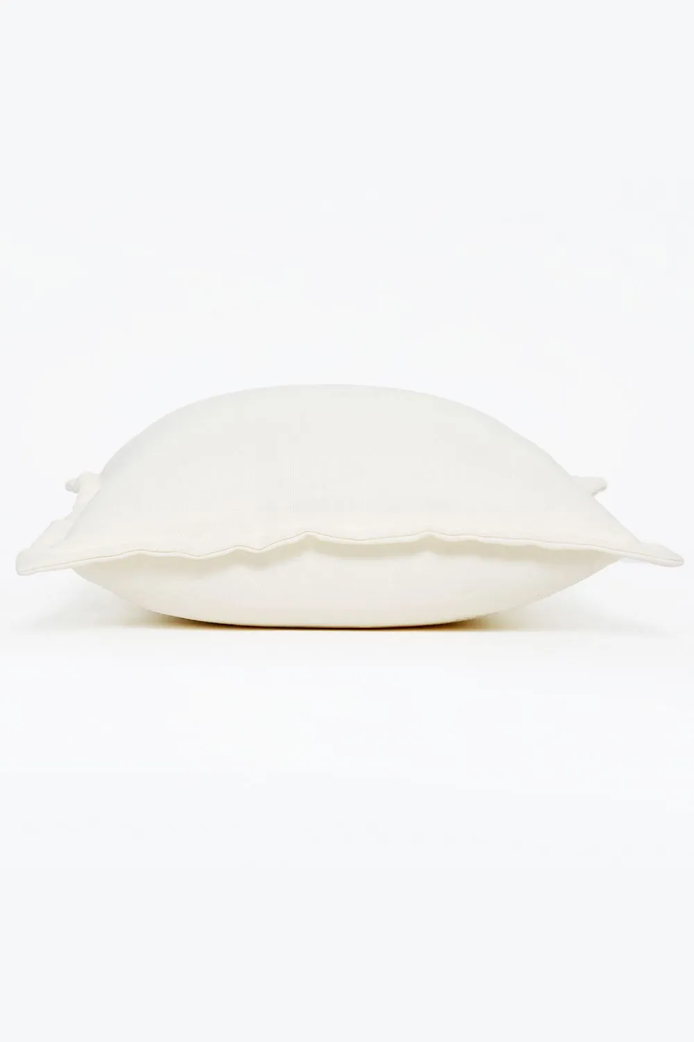 Homescapes Luxury Waterproof Plain Outdoor Cushion 45 x 45 cm, Set of 2 in Natural 3