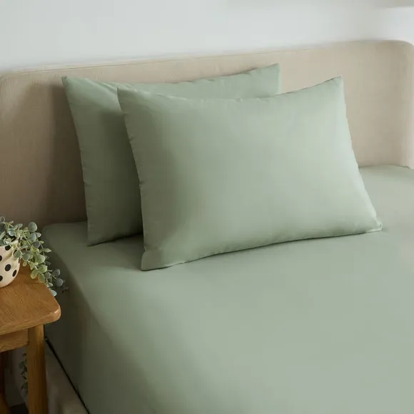 Cotton Rich Standard Pillowcase Pair 1