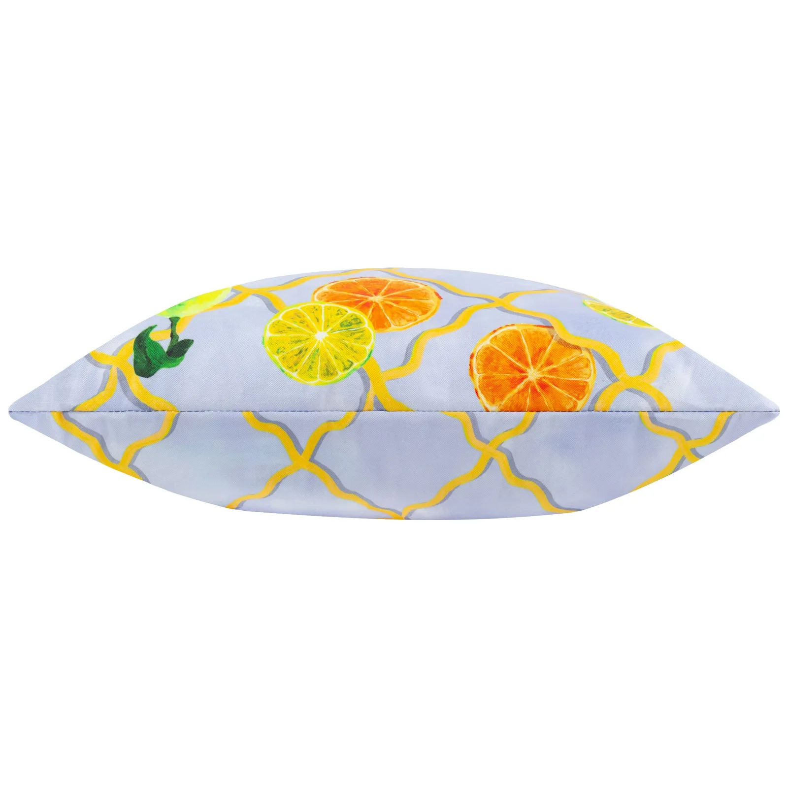 Wylder Citrus Trellis Printed Outdoor Cushion in Blue 4