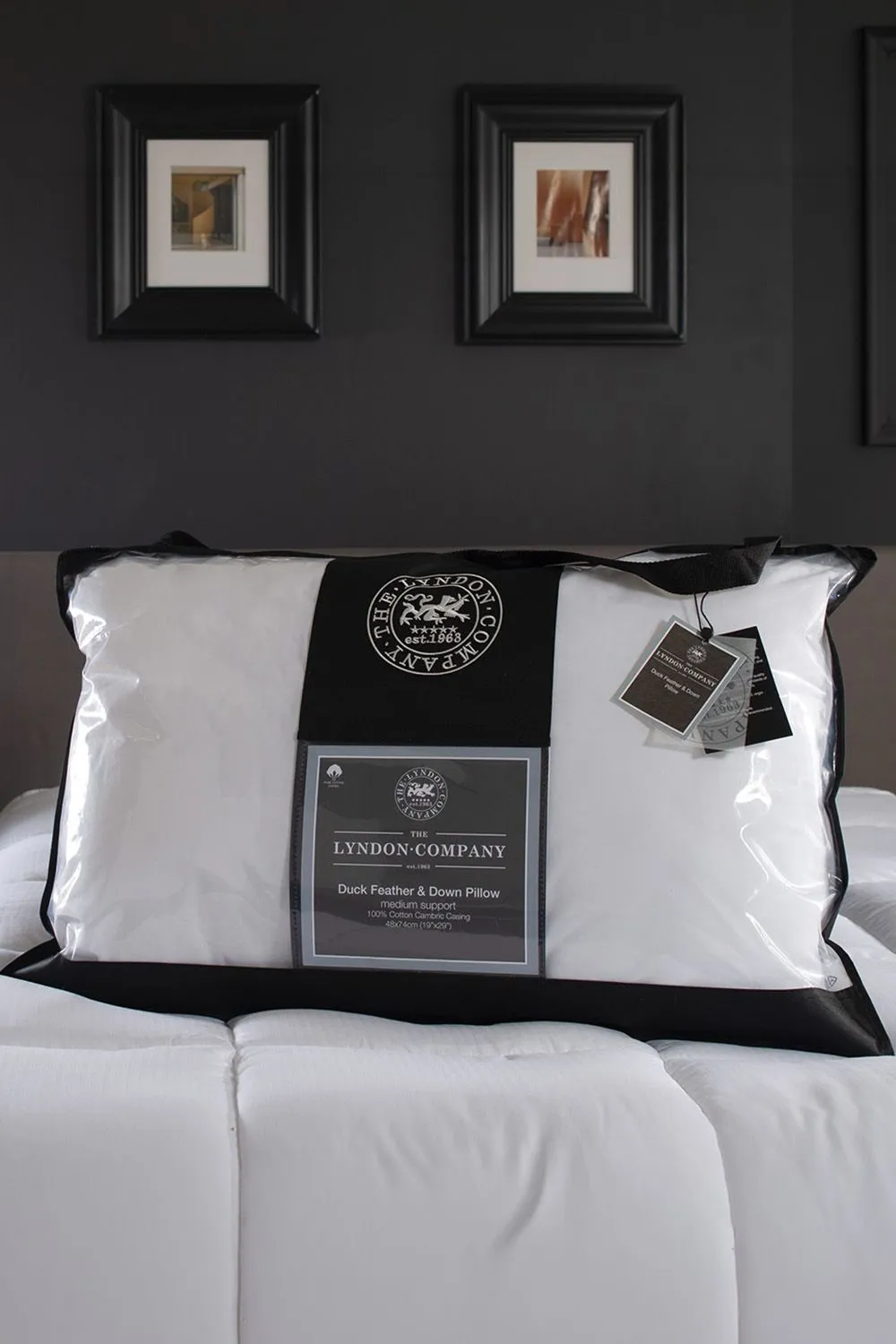 The Lyndon Company Duck Down Pillow with Natural Duck Down Filling in White