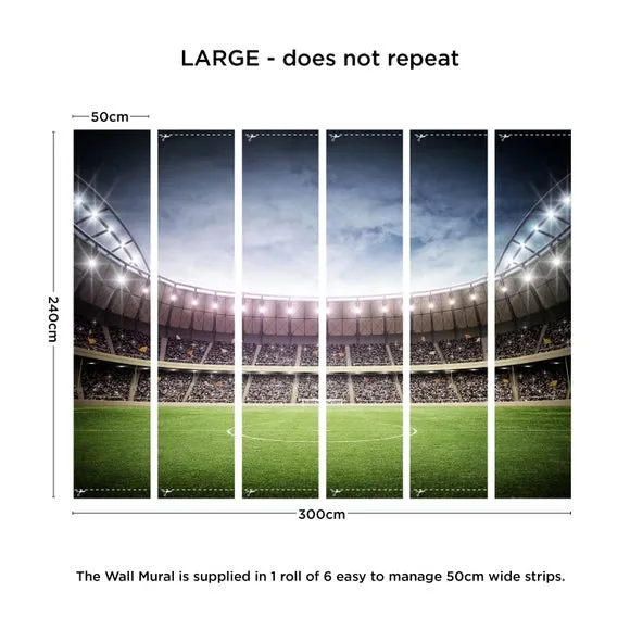 Football Stadium Wall Mural 4