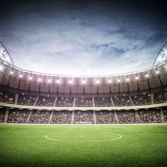 Football Stadium Wall Mural 2