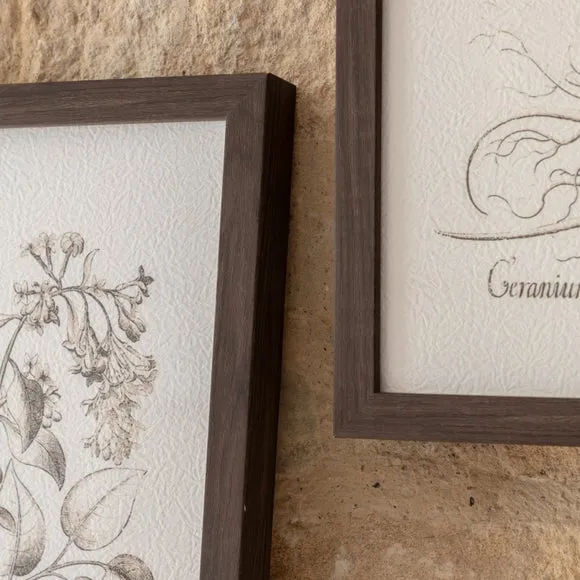 Cedar & Sage Set of 3 Evergreen Framed Prints 2