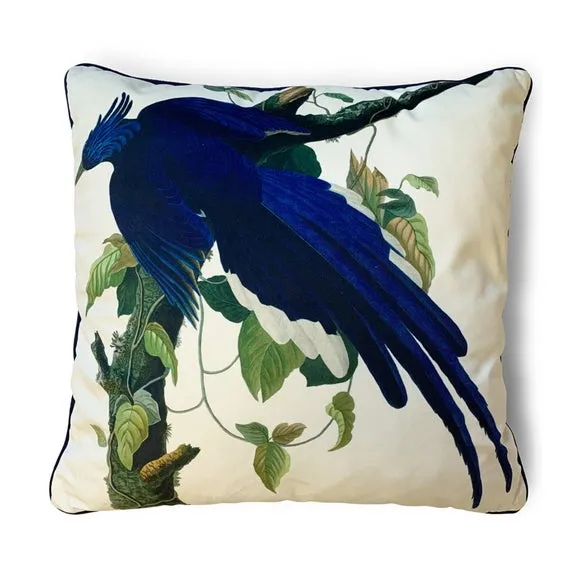 The Art Group John James Audubon Columbia Jay Velvet Square Cushion 2