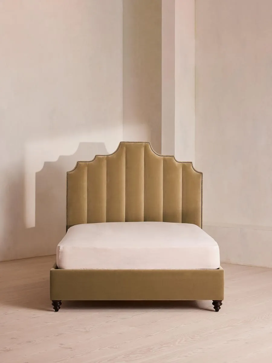 Gerrard Bed, Double, Velvet, Camel