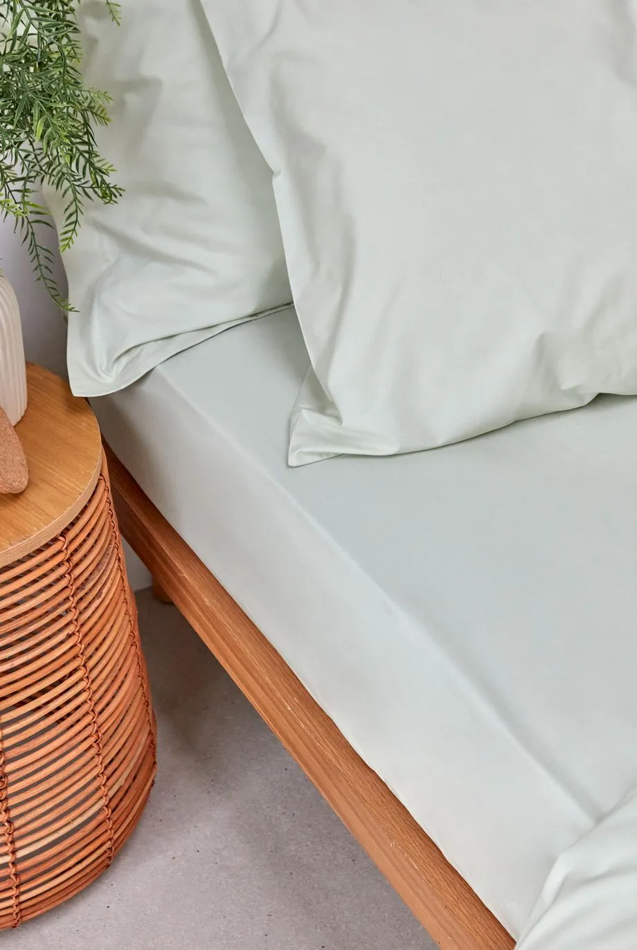 CHRISTY Pure Cotton Percale Fitted Sheets in Green 6