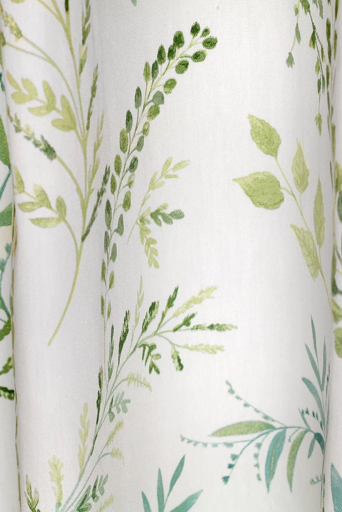 Fusion 'Fernworthy' 100% Cotton Botanical Print Pair of Eyelet Curtains in Green 2
