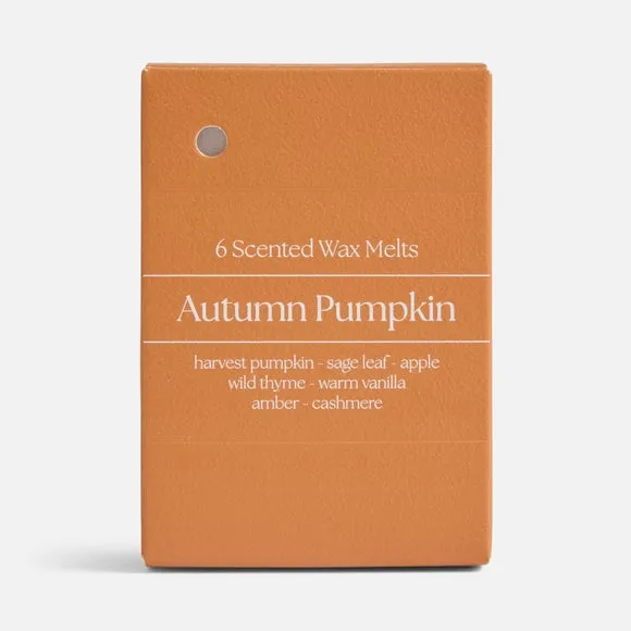 Set of 6 Autumn Pumpkin Wax Melts 3