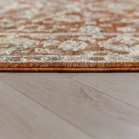Marisa Traditional Rug 4