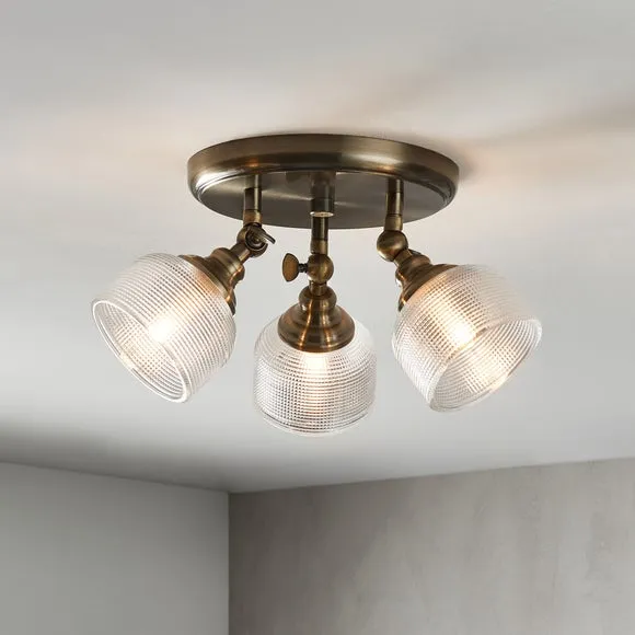 Amesbury Industrial 3 Light Adjustable Spotlight