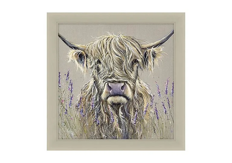 Highland Lavender Framed Picture - Lavender