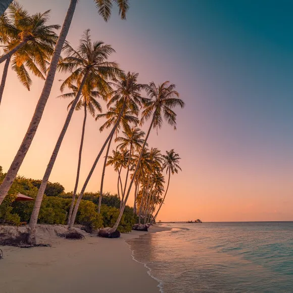 Sunset Beach Multicoloured Wall Mural 2