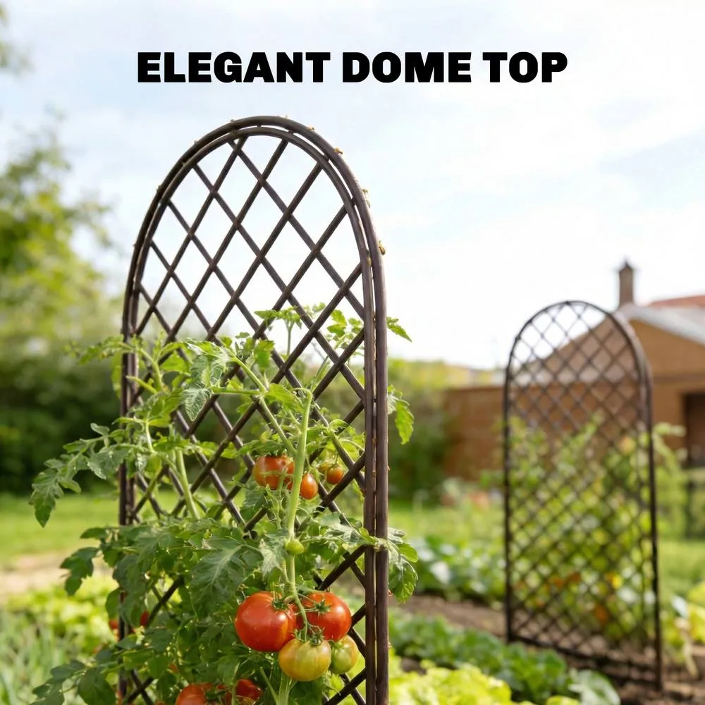 OUTSUNNY Garden Trellis, Decorative Trellis Panels with Dome Top, Natural 5