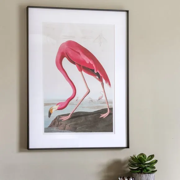 Cedar & Sage Wading Flamingo Framed Print