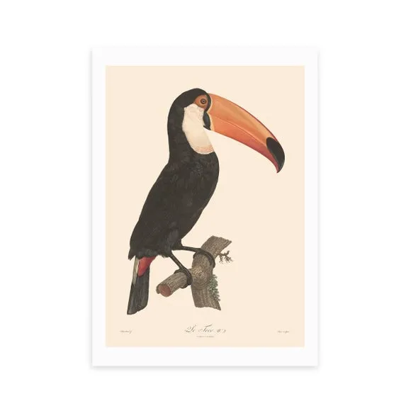 East End Prints Toucan Print 2