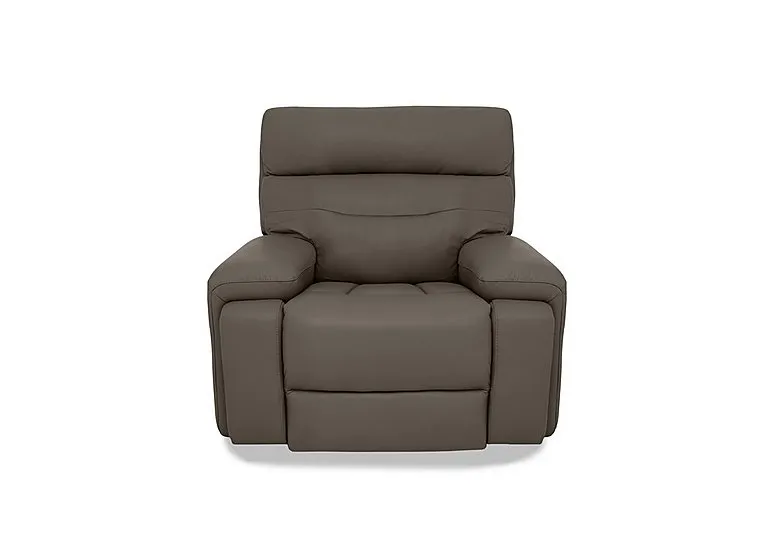 Cinemax Leather Chair - Natural Olive