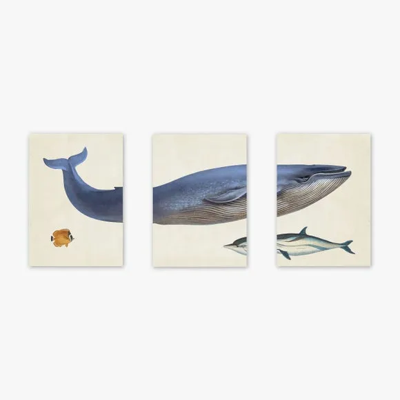 East End Prints Set of 3 Whale Prints 2