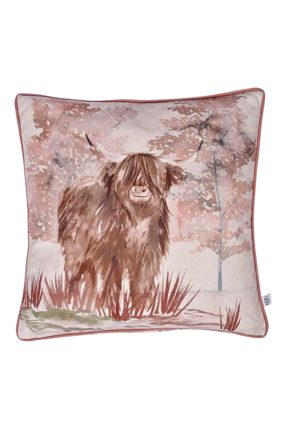 Dreams & Drapes 'Hanson Highland Cow' Luxe Velvet Filled Cushion in Terracotta