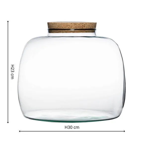 Bowl Shape Large Terrarium DIY Kit 3