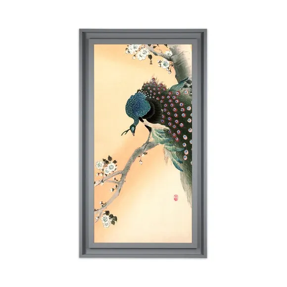 The Art Group Peacock Framed Print 2
