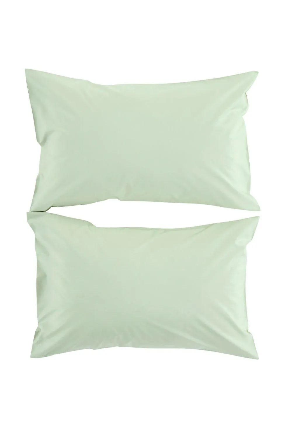 CHRISTY Pure Cotton Percale Standard Pillowcase Pair in Green 1