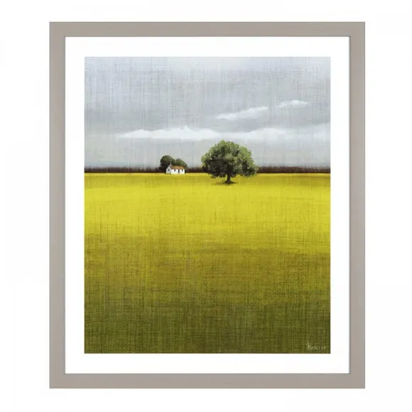 Morning Warmth Framed Print