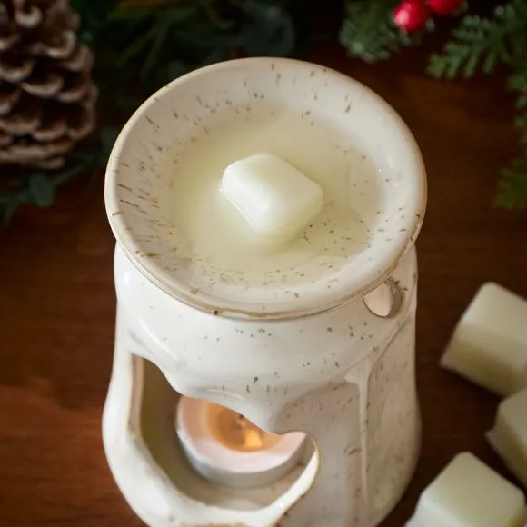Winter Berries Wax Melts 2