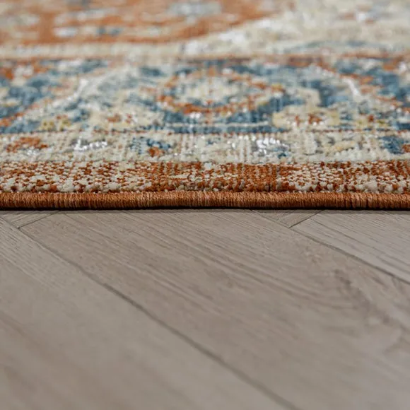 Liora Traditional Rug 4