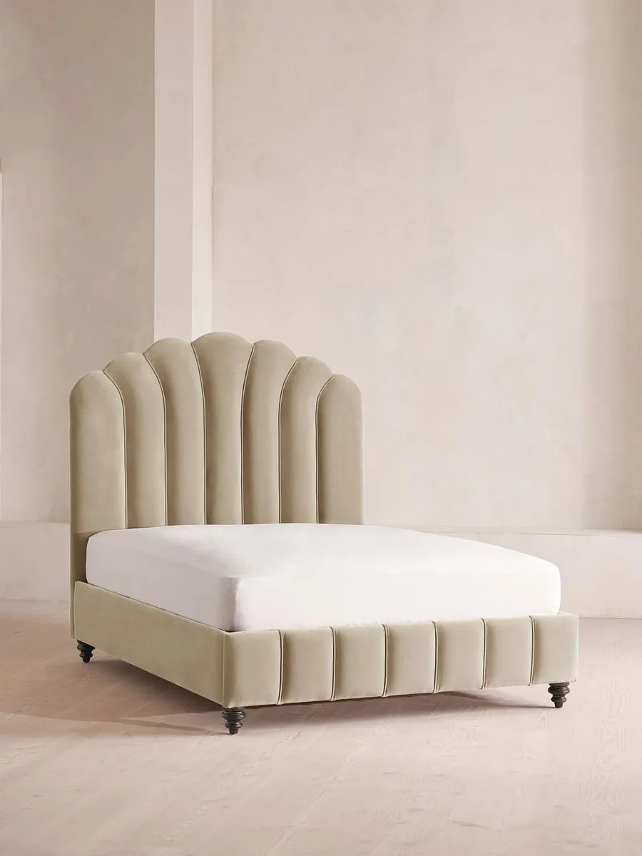 Manette Bed, King, Velvet, Oyster