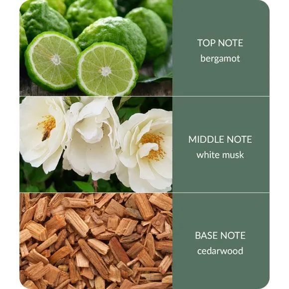 Heart and Home Bamboo Cedarwood & White Musk Diffuser 3