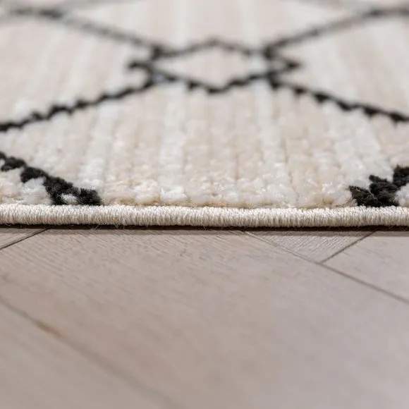 Asha Geometric Tufted Rug 4