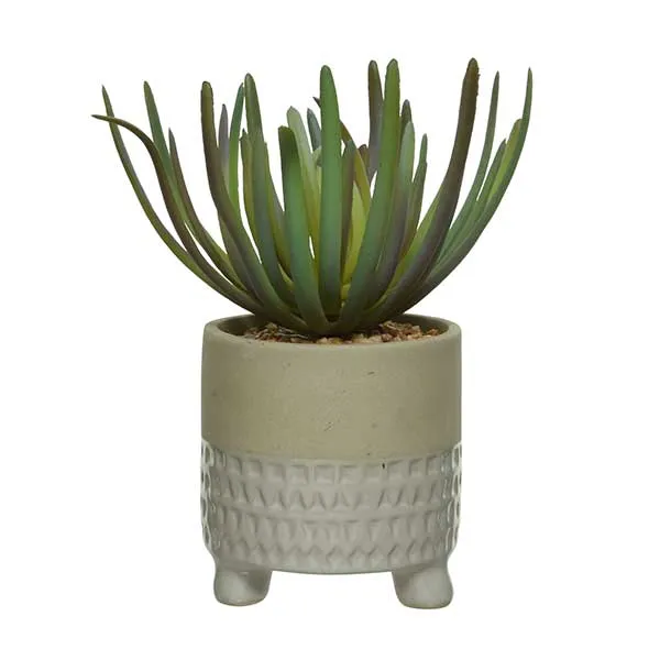 Small White Pot Plant