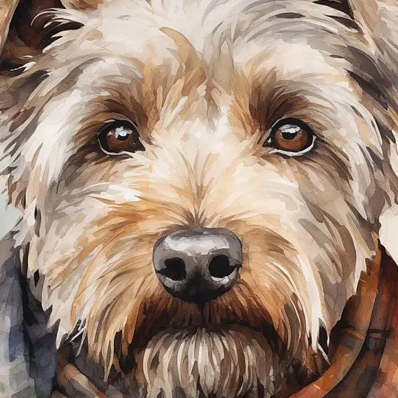 Teddy Framed Print 3