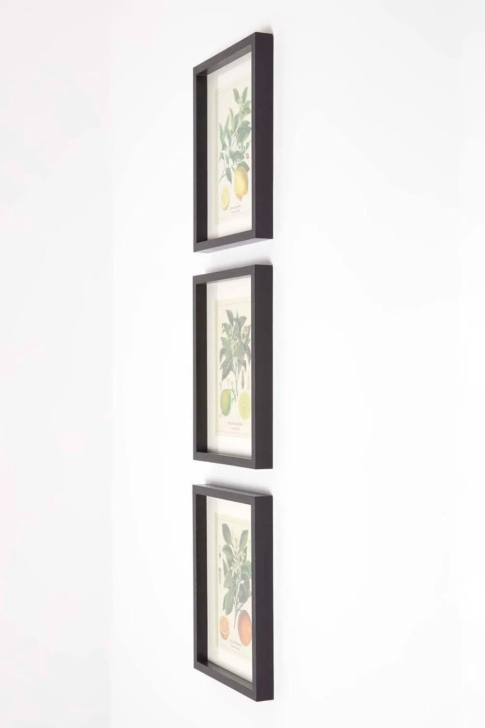 Homescapes Wall Decoration Set of 3 Frames with Picture, Citrus Fruits 5