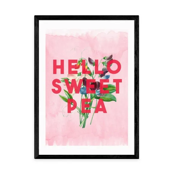 East End Prints Hello Sweet Pea Print by The 13 Prints 2
