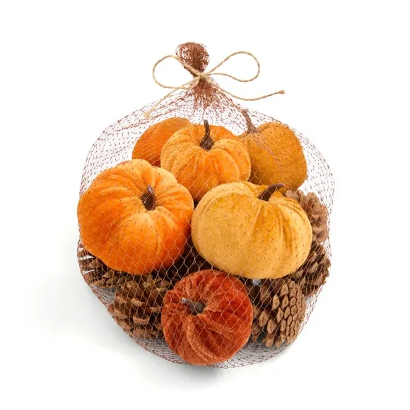 Decorative Mixed Pumpkins & Pinecones 3