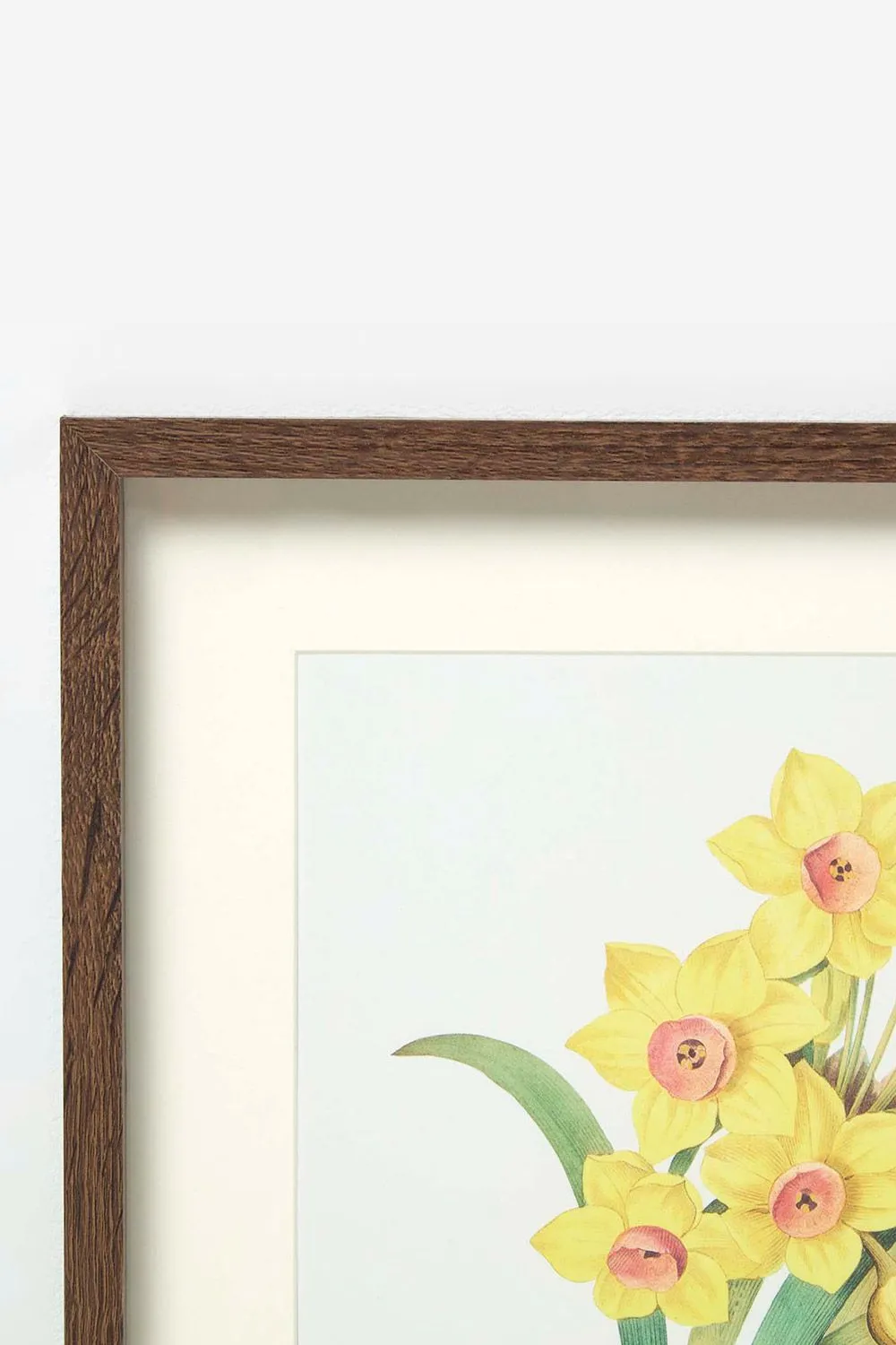 Homescapes Set of 2 Narcissus Flower Wall Art in Yellow 4