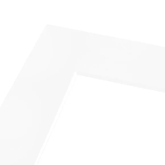 Nielsen Conservation White Picture Mount 3