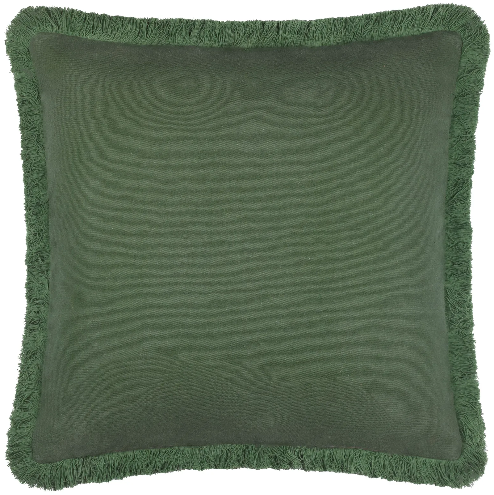 Paoletti Hedera Jacquard Cushion in Green 3