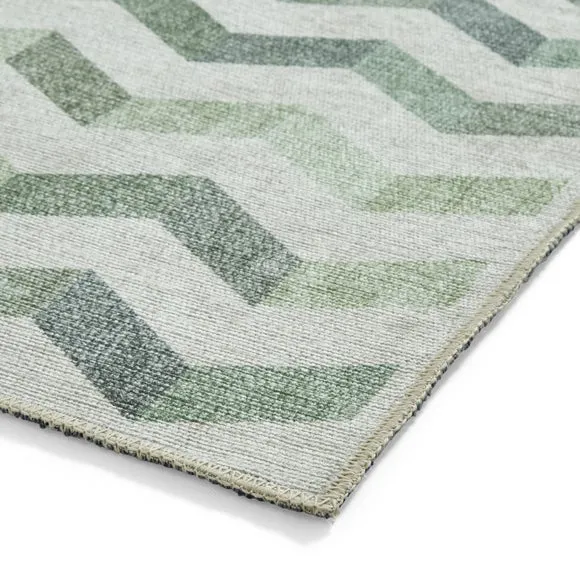 Coral H1059 Rug 6
