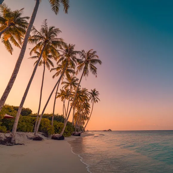 Sunset Beach Multicoloured Wall Mural 2