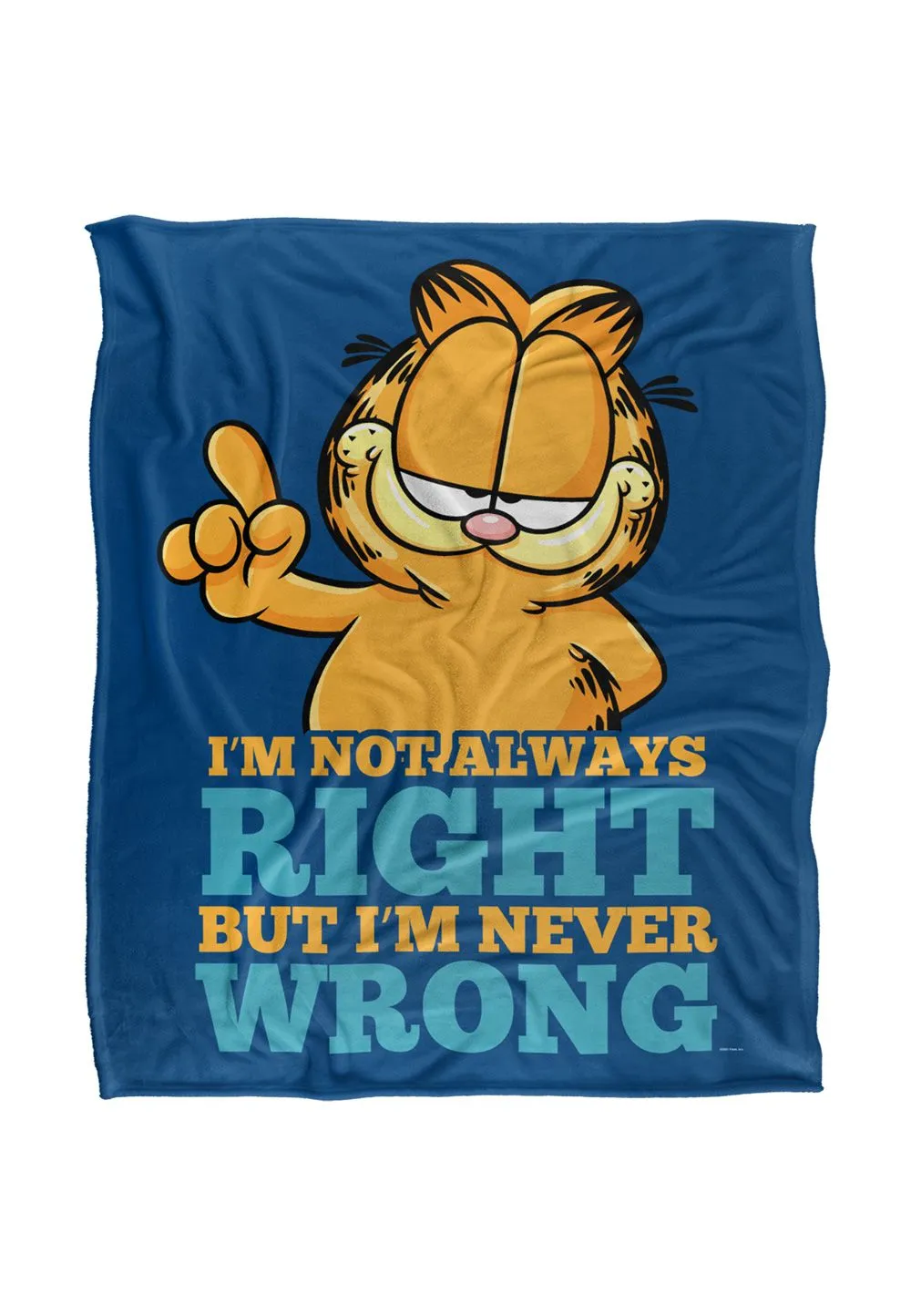 Garfield Never Ever Wrong Silky Touch Super Soft Throw Blanket 152 X 127 cm in White